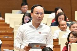 Đoàn đại biểu Quốc hội tỉnh Bắc Ninh đề xuất gỡ vướng Luật Phát triển đô thị
