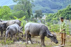 Khơi dậy ý chí vươn lên thoát nghèo
