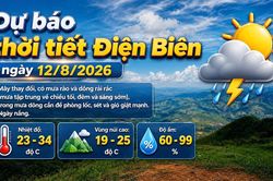 Bản tin Dự báo thời tiết ngày 12/8/2026