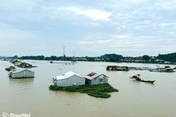 Chủ động phòng, chống bão lũ, thiên tai và biến đổi khí hậu