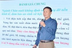 Phát triển chăn nuôi gia cầm bền vững và hiệu quả