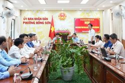 Festival Sinh vật cảnh Bồng Sơn và Bồng Sơn Half Marathon 2026: Cơ hội khám phá những nét đặc sắc của địa phương
