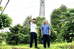 Đường dây 220 KV Pleiku 2 - Krông Buk mạch 2: Tăng tốc giải phóng mặt bằng