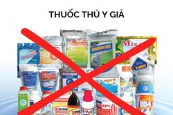 Tăng cường quản lý, kiểm soát việc kinh doanh, buôn bán và sử dụng thuốc thú y, thuốc thú y thủy sản