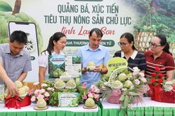 Lan loả cuộc thi na đẹp