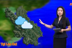 Dự báo thời tiết đêm 11 và ngày 12/8
