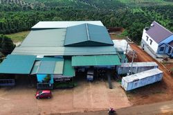 Tín hiệu vui từ chế biến nông sản ở Tây Lâm Ðồng