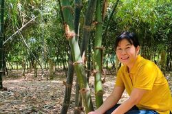 Hải Ninh mở hướng phát triển mới cho kinh tế nông nghiệp
