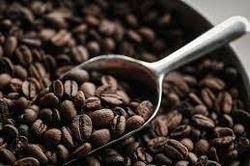 Giá cà phê hôm nay 11/8: Diễn biến trái chiều, robusta tăng nhẹ