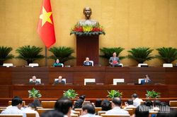 Đại biểu Quốc hội tỉnh đề nghị làm rõ cơ chế chuyển nhượng chỉ tiêu sử dụng đất quy hoạch trong khu vực TOD