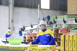 Để kinh tế tư nhân phát triển nhanh, bền vững