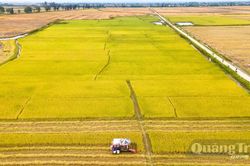 Kỳ vọng từ chính sách hỗ trợ phát triển nông nghiệp bền vững