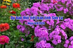 Dự báo thời tiết toàn tỉnh Sơn La ngày 12/8/2026