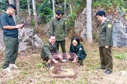 Bảo vệ động vật hoang dã, giữ gìn đa dạng sinh học