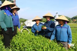 Để mái ấm không có bạo lực