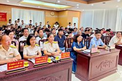 Phổ biến chính sách ưu đãi, hỗ trợ hộ kinh doanh chuyển sang doanh nghiệp