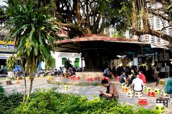Nửa thế kỷ với cà phê cóc ông Sửu