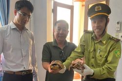 Tiếp nhận động vật hoang dã ở cơ sở: Trách nhiệm lớn, nhưng thiếu điều kiện chăm sóc, nuôi giữ