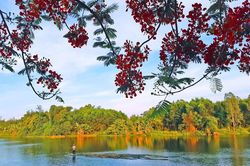 Quy hoạch đô thị nghỉ dưỡng 1.900ha tại Quảng Ngãi: Giải bài toán đánh đổi giữa tăng trưởng và sức tải sinh thái