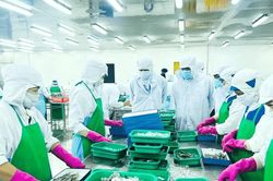 Thủy sản trước cuộc cạnh tranh mới tại thị trường Hoa Kỳ