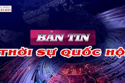 Bản tin Thời sự Quốc hội ng&agrave;y 11/8/2026
