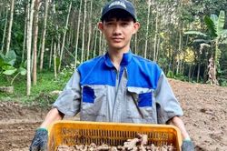 Nông sản xứ Tiên 'lên đời' nhờ HTX và văn hóa đổi mới sáng tạo