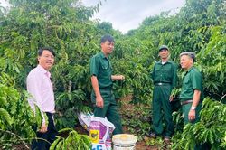 Tín dụng chính sách tiếp sức cựu chiến binh làm kinh tế