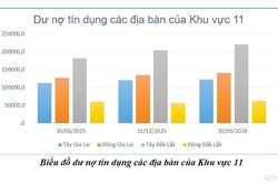 Ngành Ngân hàng Gia Lai nỗ lực tăng trưởng tín dụng, tiếp sức cho sản xuất kinh doanh