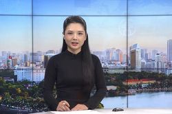 Chương trình Thời sự 9h00 | 11/08/2026