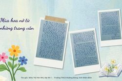 Mùa hoa nở từ những trang văn