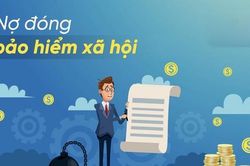 Cọc và Xây dựng Fecon nợ bảo hiểm hơn 1 tỷ đồng, công ty mẹ FCN báo lãi bán niên tăng vọt