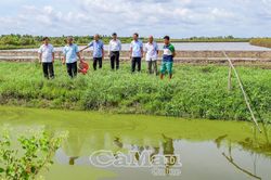 Cụ thể hoá nghị quyết từ những việc trọng tâm, sát thực tiễn