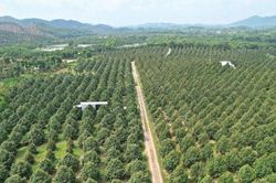 Lâm Đồng siết quản lý mã số vùng trồng, cơ sở đóng gói phục vụ xuất khẩu