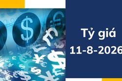Tỷ gi&aacute; USD ng&agrave;y 11-8: USD nh&iacute;ch tăng, thị trường chờ t&iacute;n hiệu từ CPI Mỹ