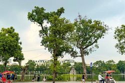 Bắc Bộ nắng n&oacute;ng, chiều tối mưa d&ocirc;ng