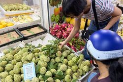 Na dai gắn mác 'Đồng Bành' bán đầy thị trường, tiểu thương chỉ cách chọn hàng 'chuẩn' mua một lần nhớ mãi