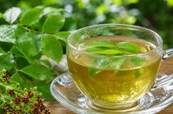 Công dụng của lá đàn hương với sức khỏe