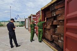 Gia Lai: Ph&aacute;t hiện hơn 1,1 tấn ng&agrave; voi giấu tinh vi trong 3 container gỗ