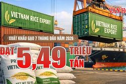 Xuất khẩu gạo 7 tháng năm 2026 đạt 5,49 triệu tấn, thu hơn 2,6 tỉ USD