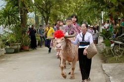 Vui Tết Xíp Xí đậm sắc màu văn hóa Thái ở Phù Yên