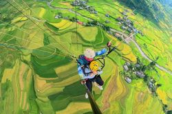 Bay giữa trời thu, ngắm mùa vàng Tú Lệ