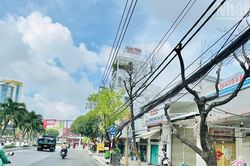 Cà Mau: Vì sao nhiều cây xanh tại đường Trần Phú, phường Bạc Liêu chết trắng?