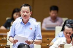 Đại biểu Quốc hội: Quản lý mật độ chăn nuôi gắn với sức chịu tải thực tế