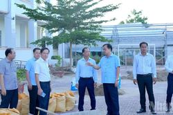 Cà Mau đẩy mạnh chuyển đổi số và đổi mới sáng tạo về giáo dục trong năm học mới
