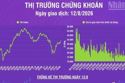 [Infographic] Chứng khoán ngày 12/8: VN-Index tăng gần 20 điểm, khối ngoại mua ròng 314,4 tỷ đồng trên HoSE