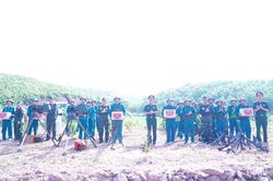 Quảng Ninh: Hải Lạng ho&agrave;n th&agrave;nh tốt diễn tập chiến đấu trong khu vực ph&ograve;ng thủ