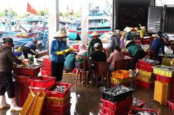 Quảng Ngãi tăng cường quản lý, nâng hiệu quả chống khai thác IUU
