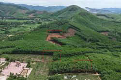 Khoanh vùng 2 vị trí nghi có mộ liệt sĩ ở đồi Xuân Sơn