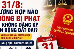 Từ 31/8, trường hợp nào không bị phạt khi không đăng ký biến động đất đai?