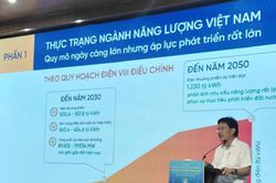 Tìm giải pháp phát triển thị trường năng lượng, bảo đảm mục tiêu tăng trưởng?